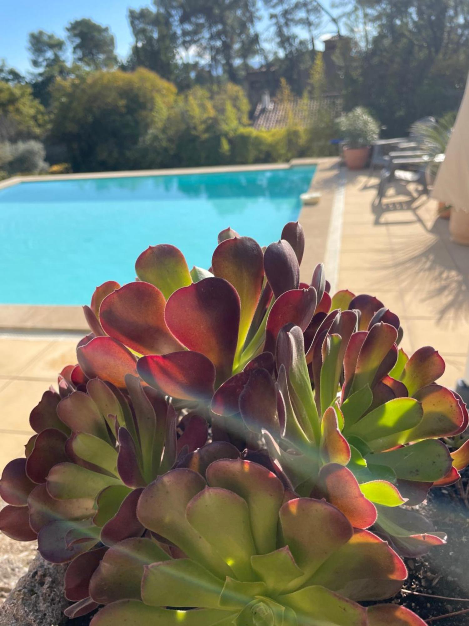 O Coeur Des Ocres Daire Roussillon en Isere Dış mekan fotoğraf