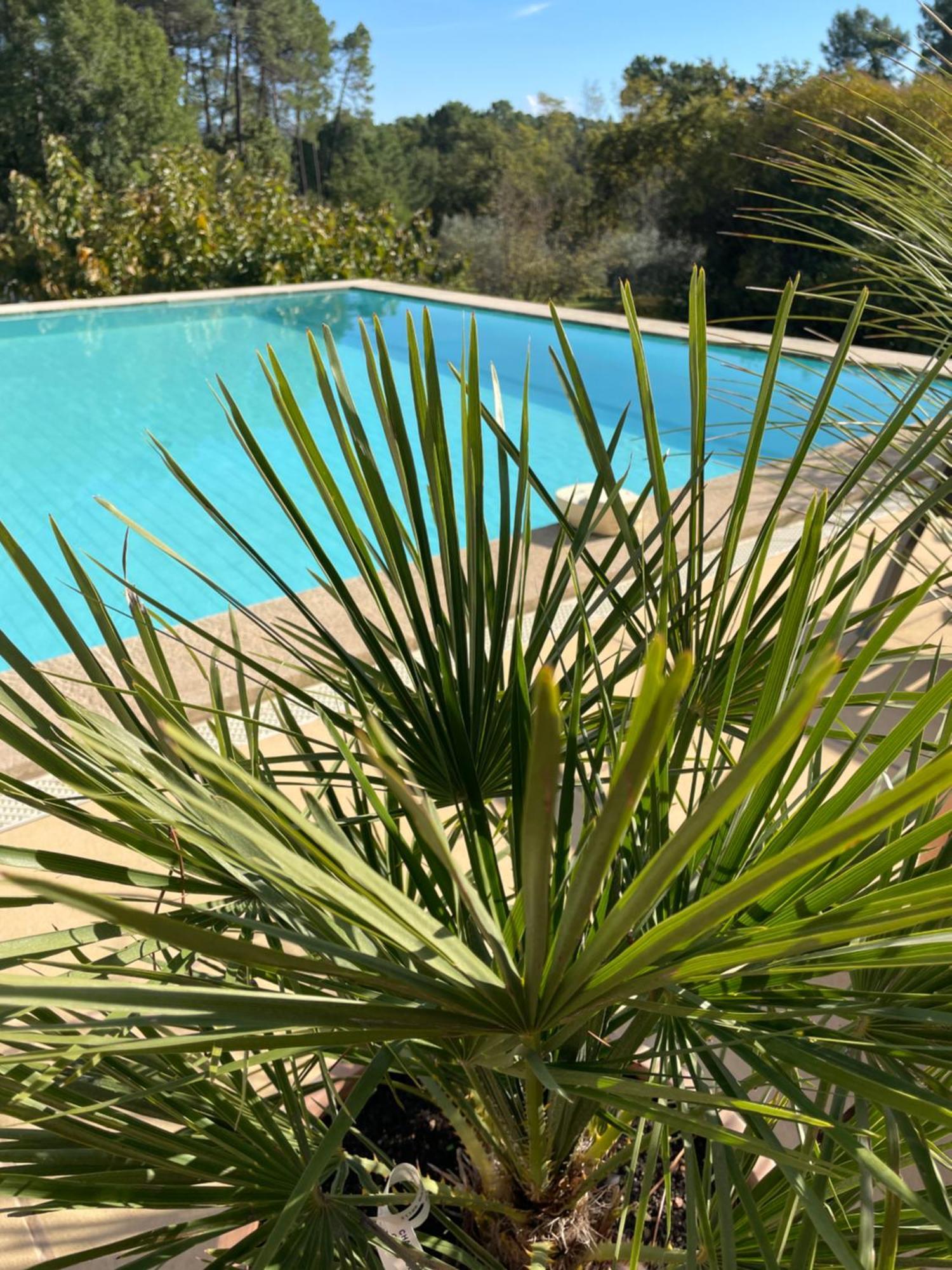 O Coeur Des Ocres Daire Roussillon en Isere Dış mekan fotoğraf